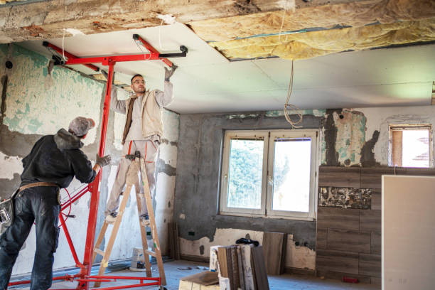 Best Blown-in Insulation in Frisco City, AL