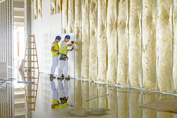 Best Commercial Insulation in Frisco City, AL